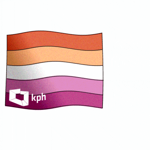 Kampania_Przeciw_Homofobii pride lgbt flag lesbian GIF