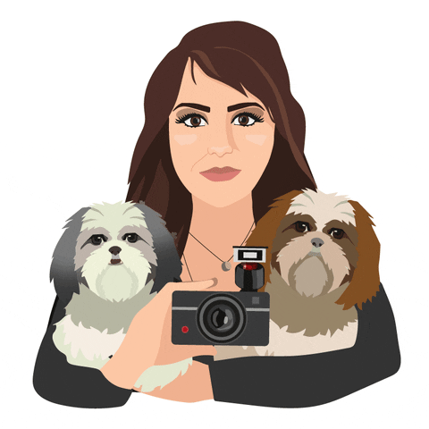 tmsgphotos dogs photo camera pictures GIF