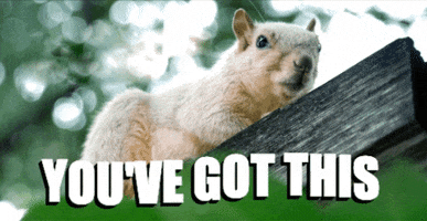 Lucky The Squirrel GIFs - Get the best GIF on GIPHY