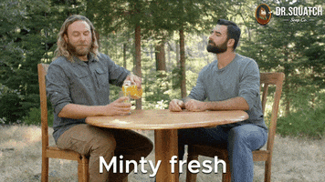 Minty Fresh Mint GIF by DrSquatchSoapCo