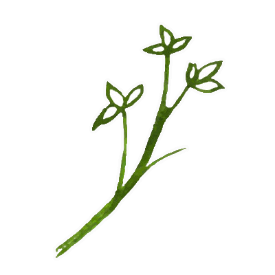 Nature Sticker