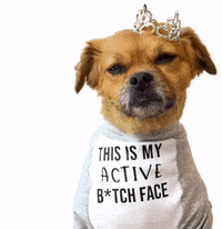 Dog Bye Gifs Get The Best Gif On Giphy Dog Bye Gifs Get The Best Gif On Giphy