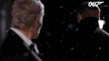 Disappointed Daniel Craig GIF by James Bond 007