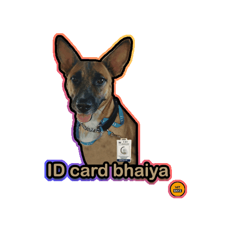 VitDayz Sticker
