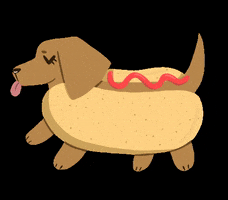 akiirarivero hot dog food puppy GIF