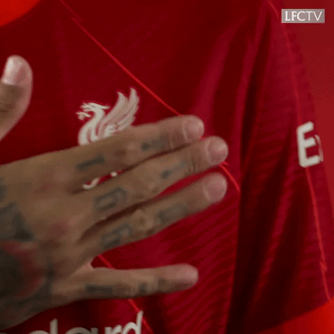 Premier League Love GIF by Liverpool FC