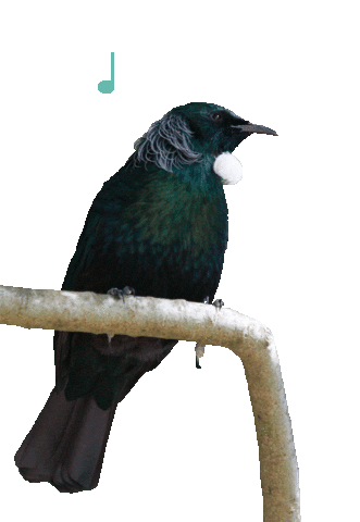 cornwallparknz Sticker