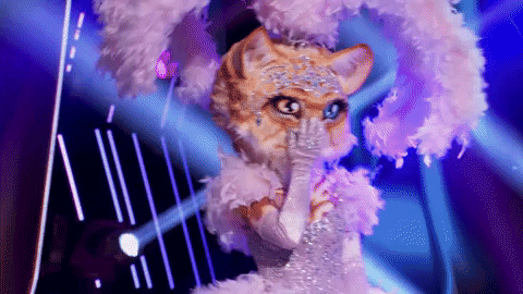 Kitty Kisses GIF by The Masked Singer - Find & Share on GIPHY