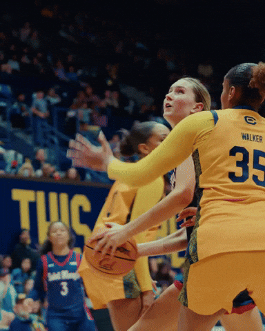 Cal GIF by CALWBB