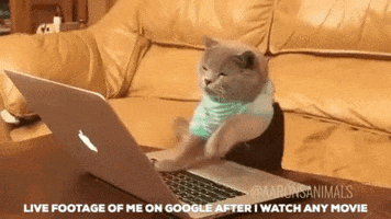 Cat Laptop Movielover GIF