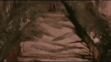 Palm Sunday GIF