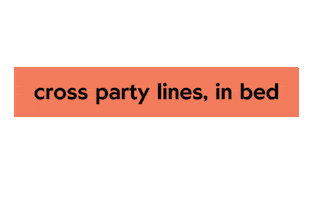 Vote 2020Election Sticker by Lunya