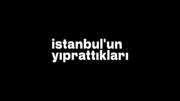 GIF by BAM! Film Kolektif