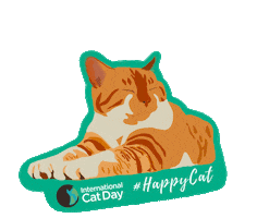 iCatCare Sticker