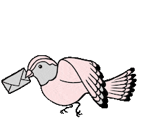 Curran Sticker