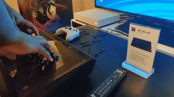 Ces GIF
