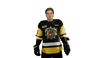 Brantford Bulldogs Sticker