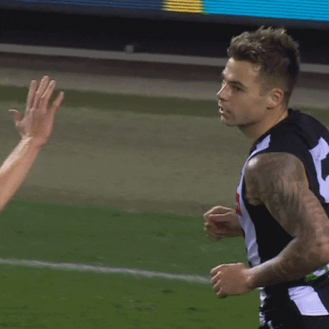 Collingwood Magpies Celebration GIF by CollingwoodFC