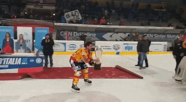 Cup Champions GIF by Asiago Hockey 1935