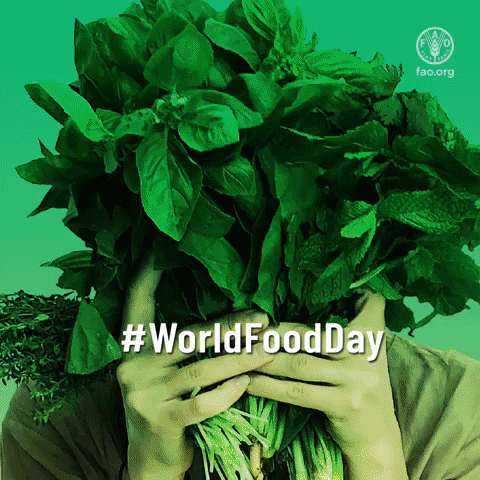 Wfd Worldfoodday GIF by FAO