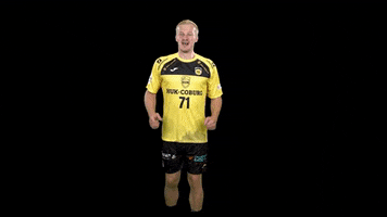 Handball GIF by HSC 2000 Coburg