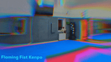 Karate Judo GIF by Flaming Fist Kenpo Germany - empty hands e.V.