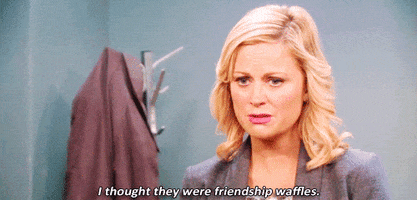 Parks And Recreation Friendship GIF