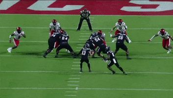 Touchdown GIF