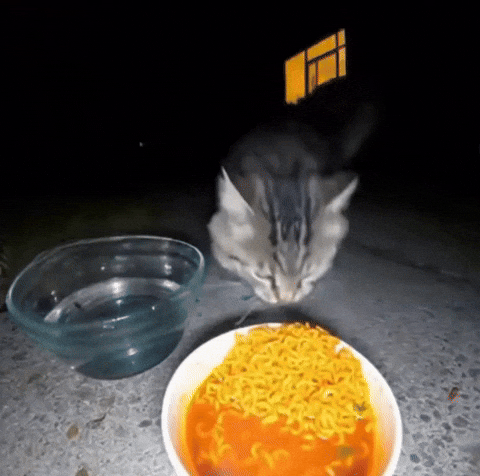 Bhfhjvc5676 GIF
