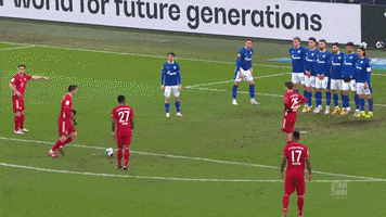 Football Save GIF by FC Schalke 04