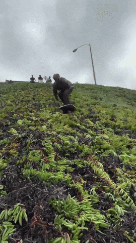 Crash Falling GIF