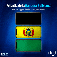 Dia De La Bandera GIF by Tigo Bolivia