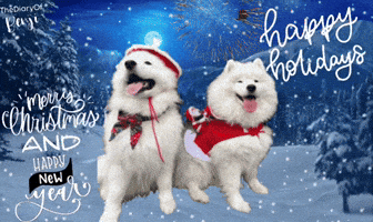 Happy New Year Christmas GIF