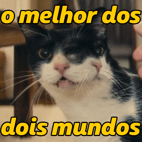 Gata Partiu GIF by Petrobras