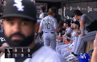 Major League Baseball GIF