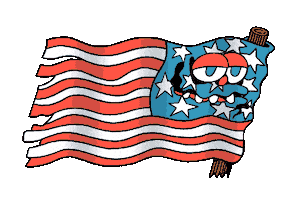 Usa Flag Sticker by Killer Acid