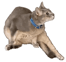 Fam 지드래곤 Sticker