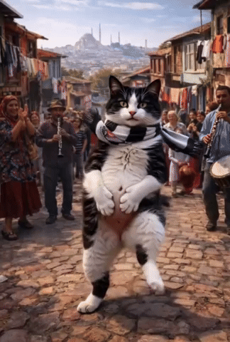 Patihan Kedi Katze Cat Komik Haha Dans Dance Cool Meme Hyha GIF