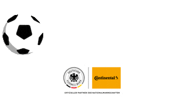 Ball Sponsoring Sticker by Continental