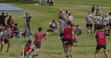 Quidditch GIF
