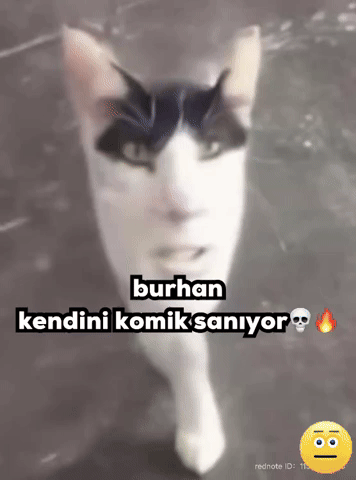 Burhan Kendini Komik Sanıyor GIF