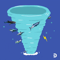 Shark-tornado GIFs - Get the best GIF on GIPHY