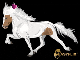 Pony Iceland GIF by Easyflix TV