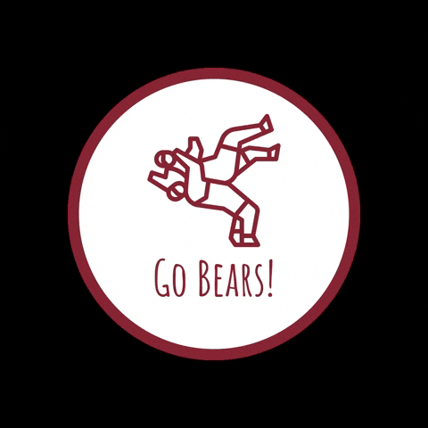 Golden Bears GIF by HIES Athletics