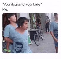 Dog GIF