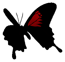 Postmalone Sticker by UniversalMusic