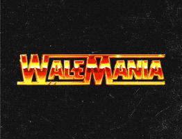 Las Vegas Wale GIF by WALEMANIA