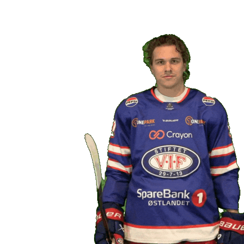 Goal Blake Sticker by VIF Hockey