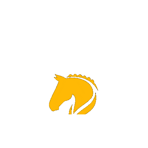 Better Horse Supplements Sticker