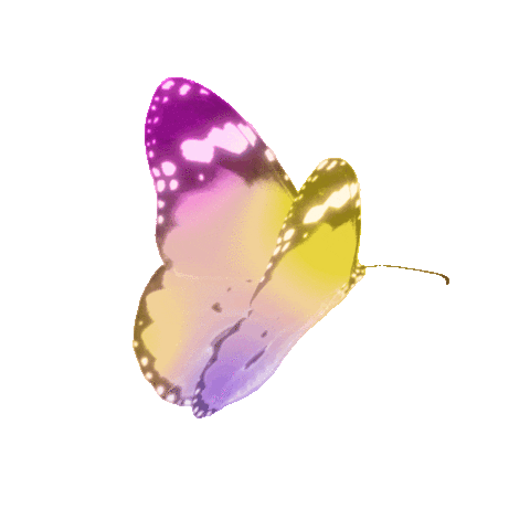 Girl Friend Butterfly Sticker by Hunter Daily
